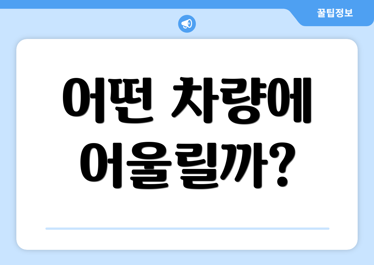 어떤 차량에 어울릴까?