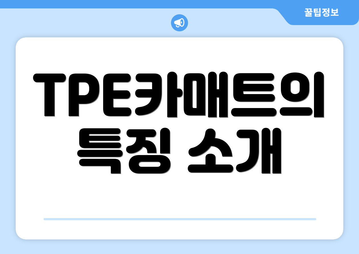 TPE카매트의 특징 소개