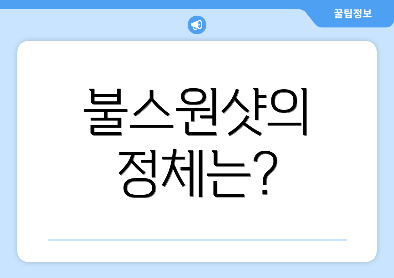 불스원샷의 정체는?