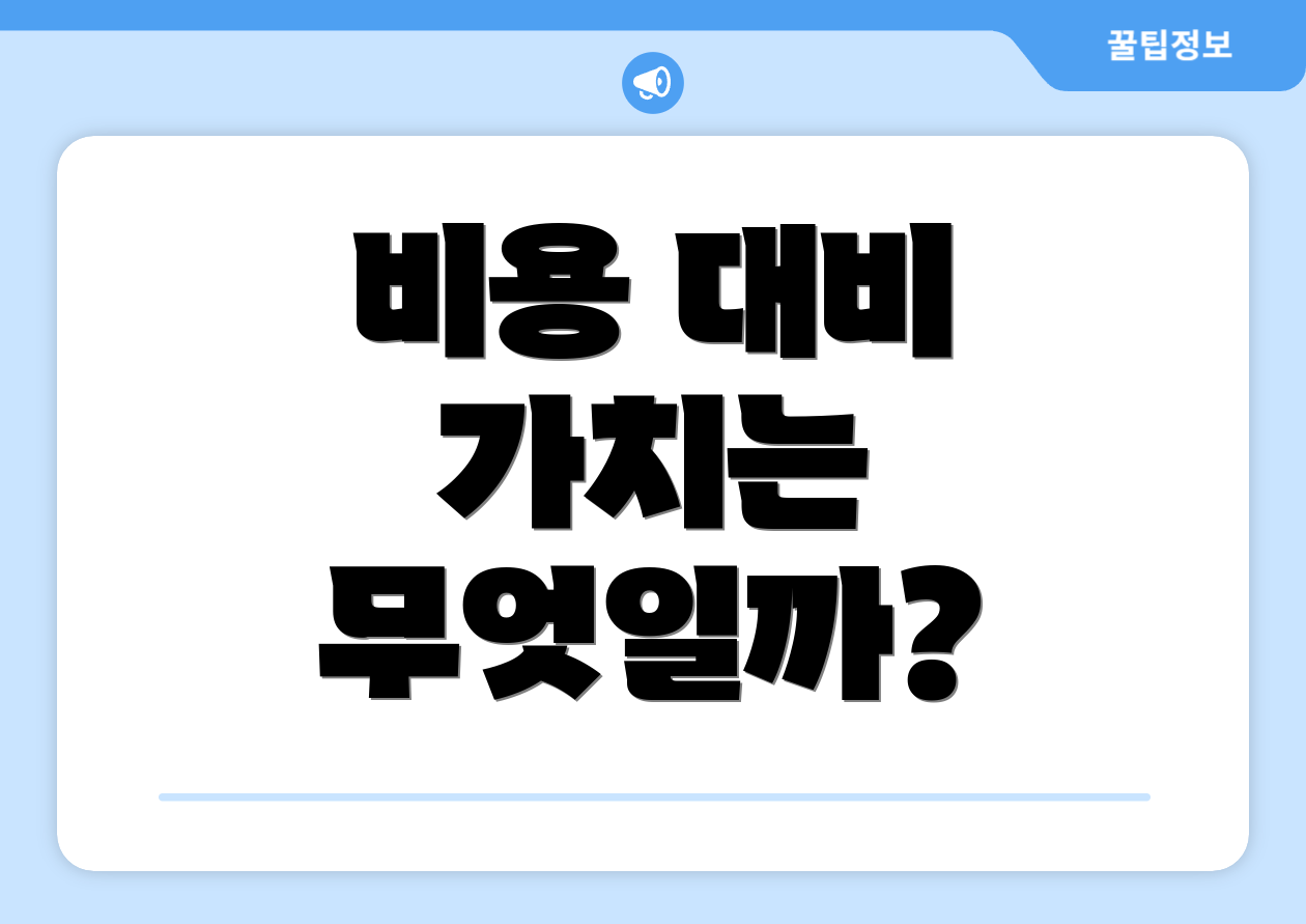비용 대비 가치는 무엇일까?