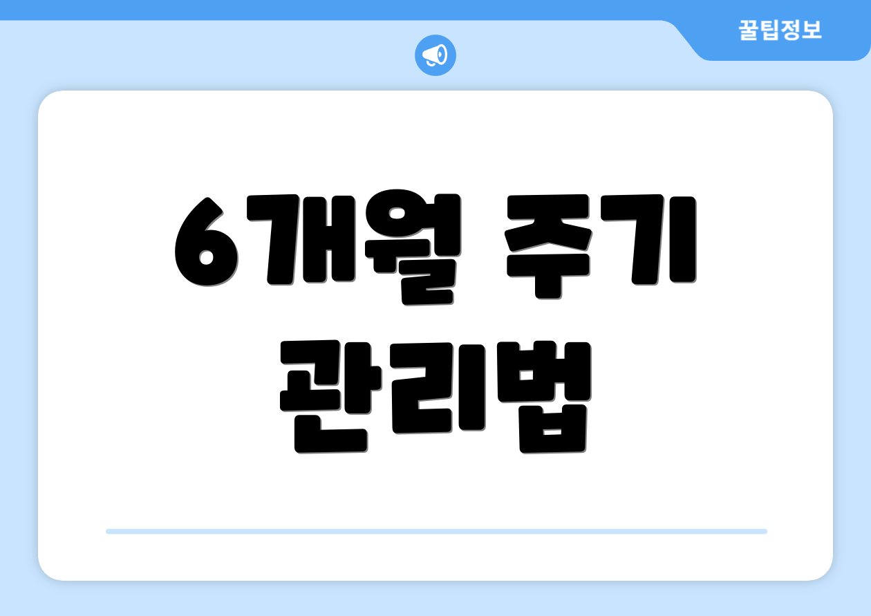 6개월 주기 관리법