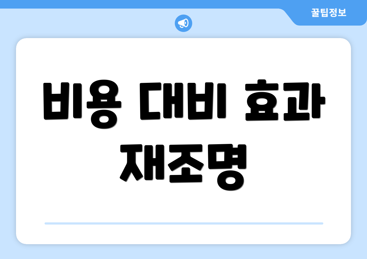비용 대비 효과 재조명