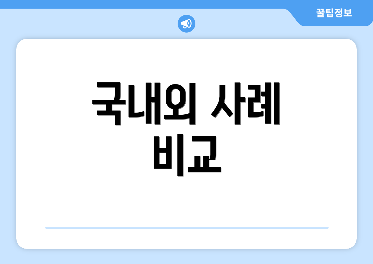 국내외 사례 비교