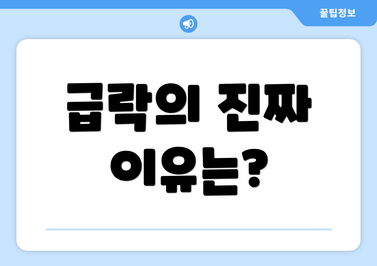 급락의 진짜 이유는?