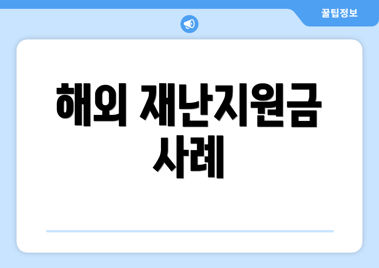 해외 재난지원금 사례