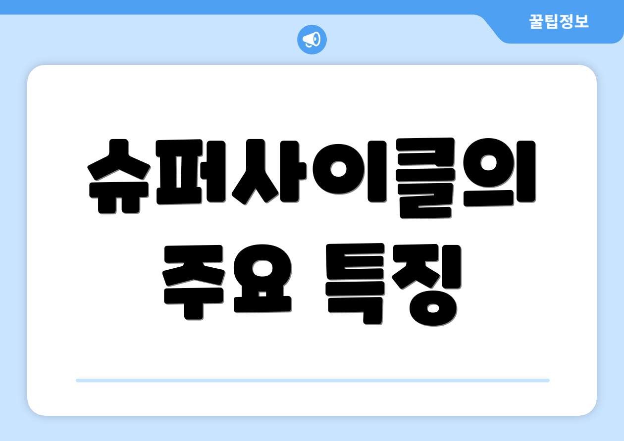 슈퍼사이클의 주요 특징