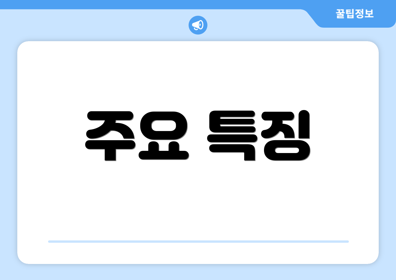 주요 특징