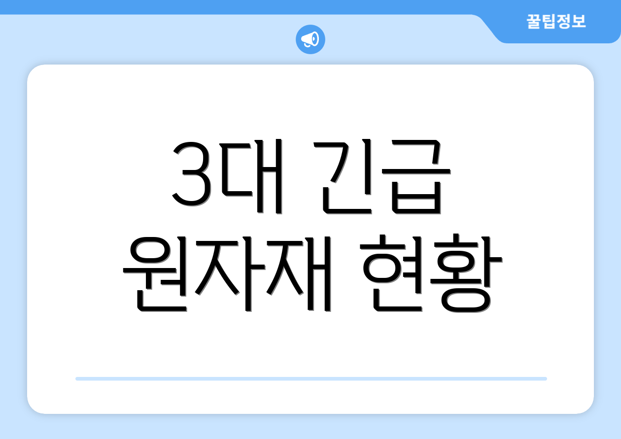 3대 긴급 원자재 현황