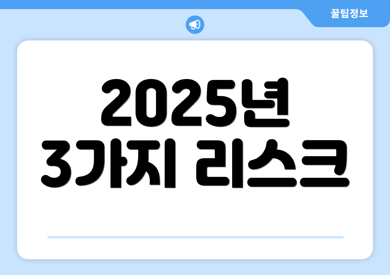 2025년 3가지 리스크