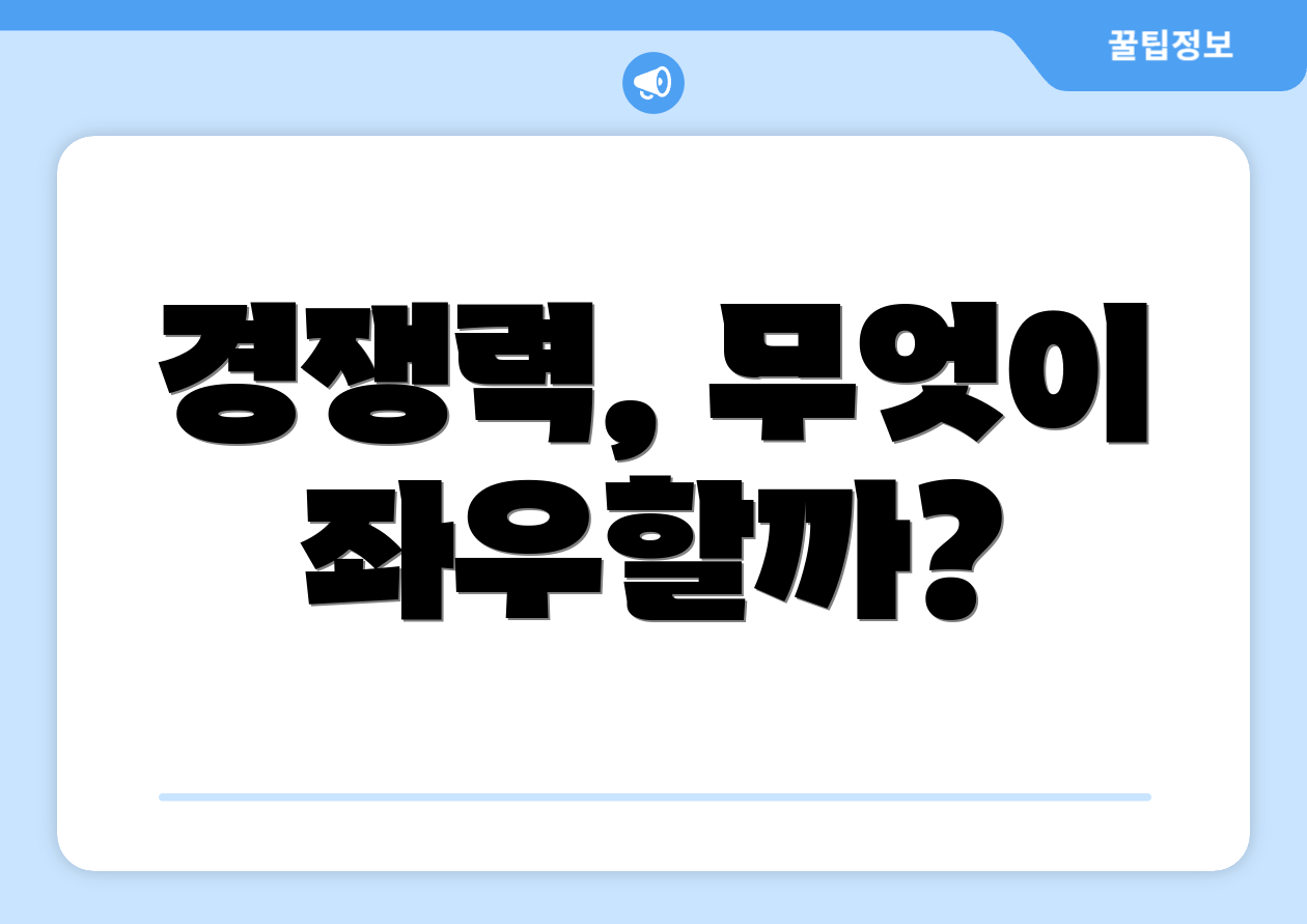 경쟁력, 무엇이 좌우할까?