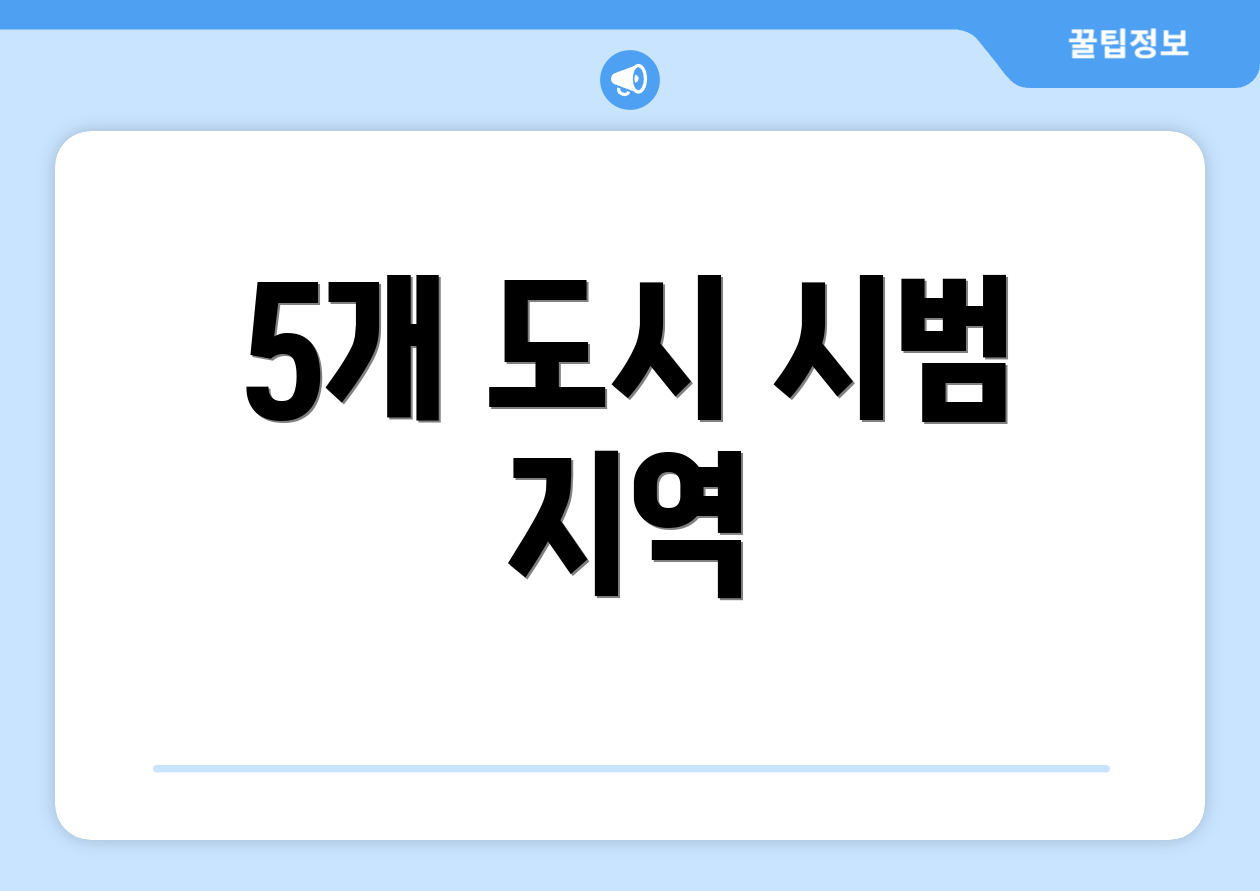 5개 도시 시범 지역