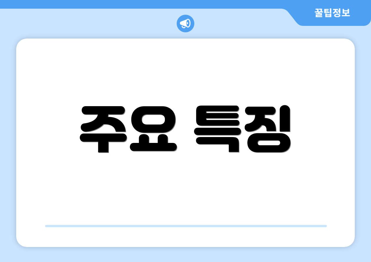 주요 특징