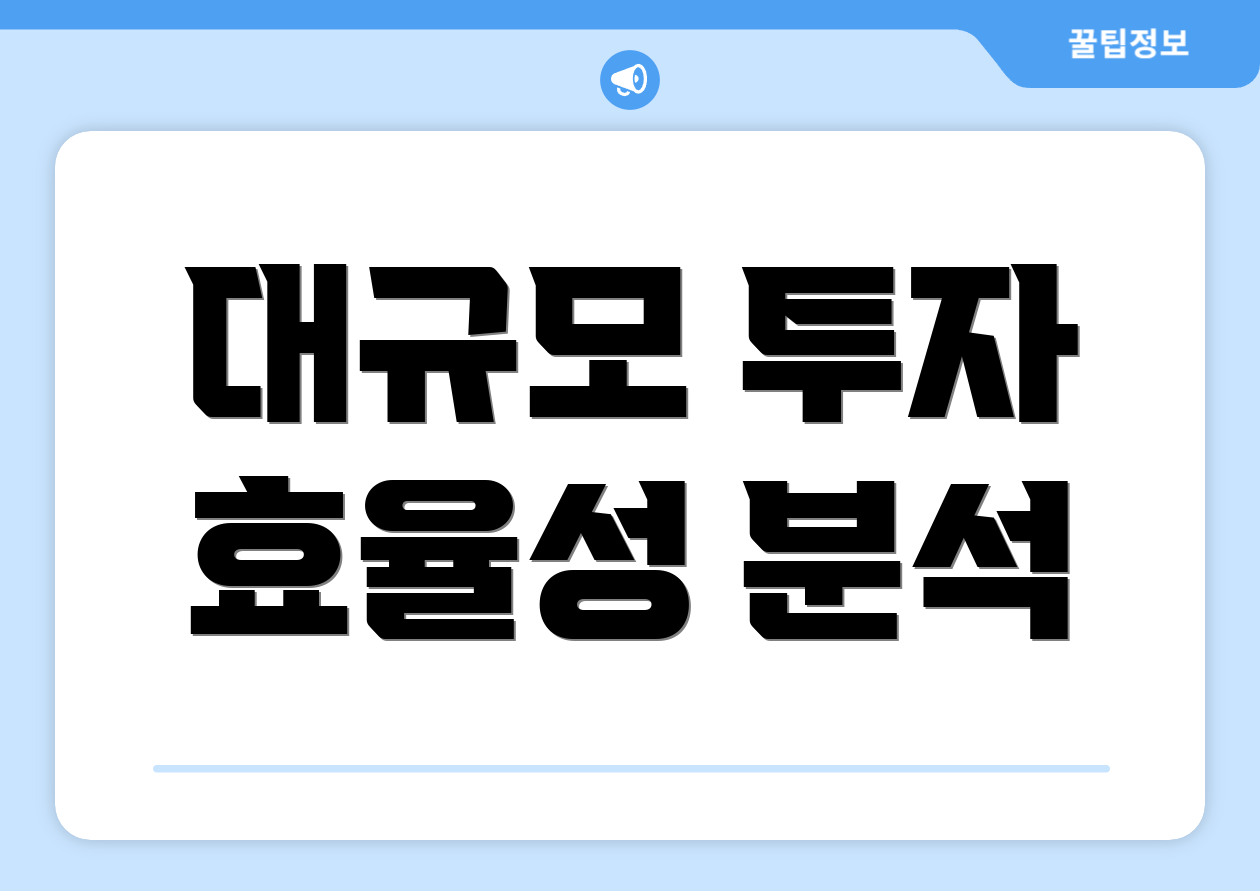 대규모 투자 효율성 분석