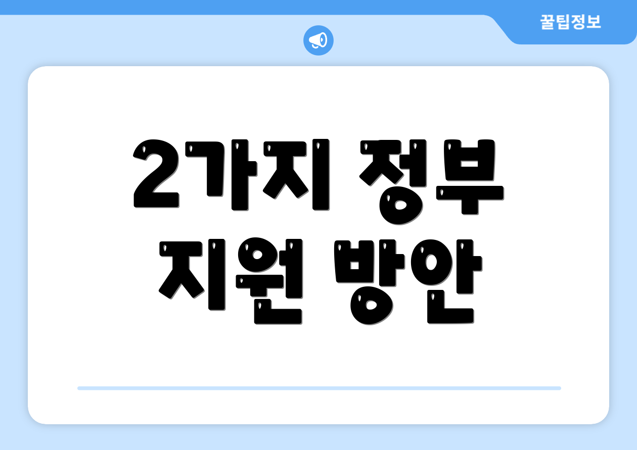 2가지 정부 지원 방안