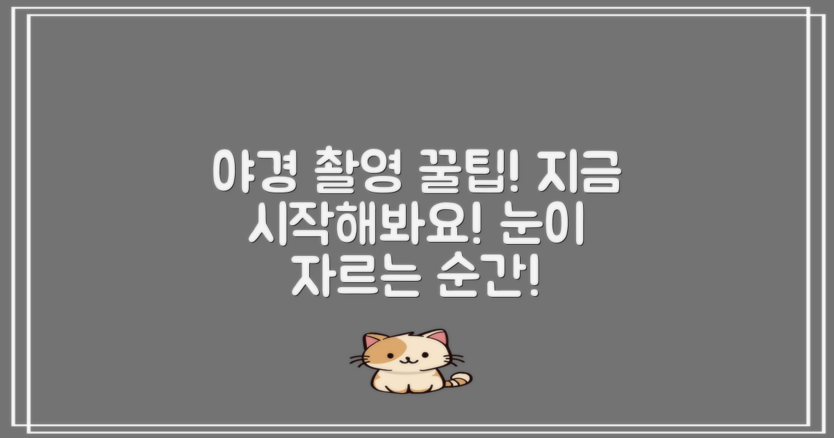2. 야간 촬영 (Night Vision)