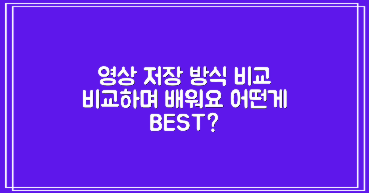 영상 저장 방식 비교